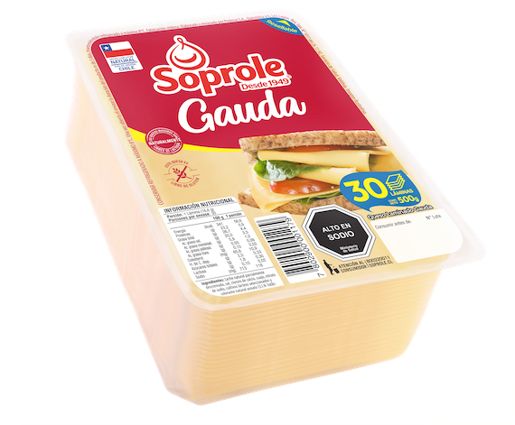 Queso Gauda Laminado 500g